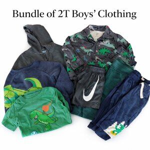 Toddler Boys 2T Clothing Bundle 10pc Dinosaur Outfits Pajamas Tees Pants Shorts